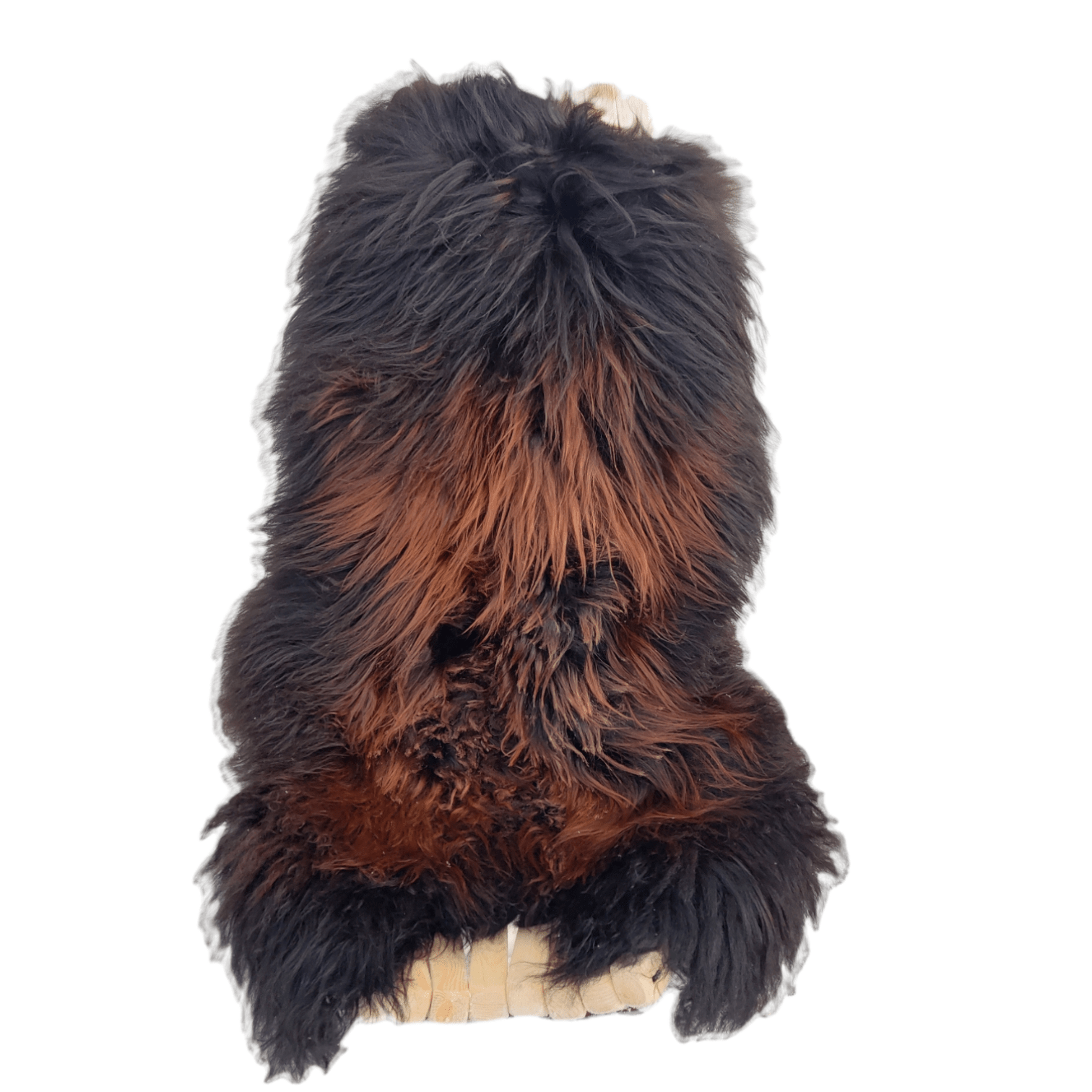 2 stk. Islandsk Flamme Saueskinn - Gratis Frakt - ULLNorge