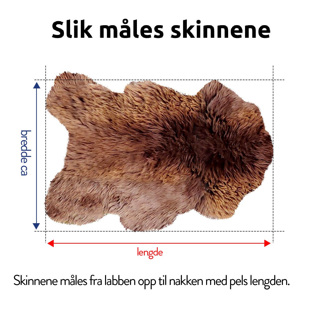 4 stk Hvite Saueskinn - Gratis Frakt - ULLNorge