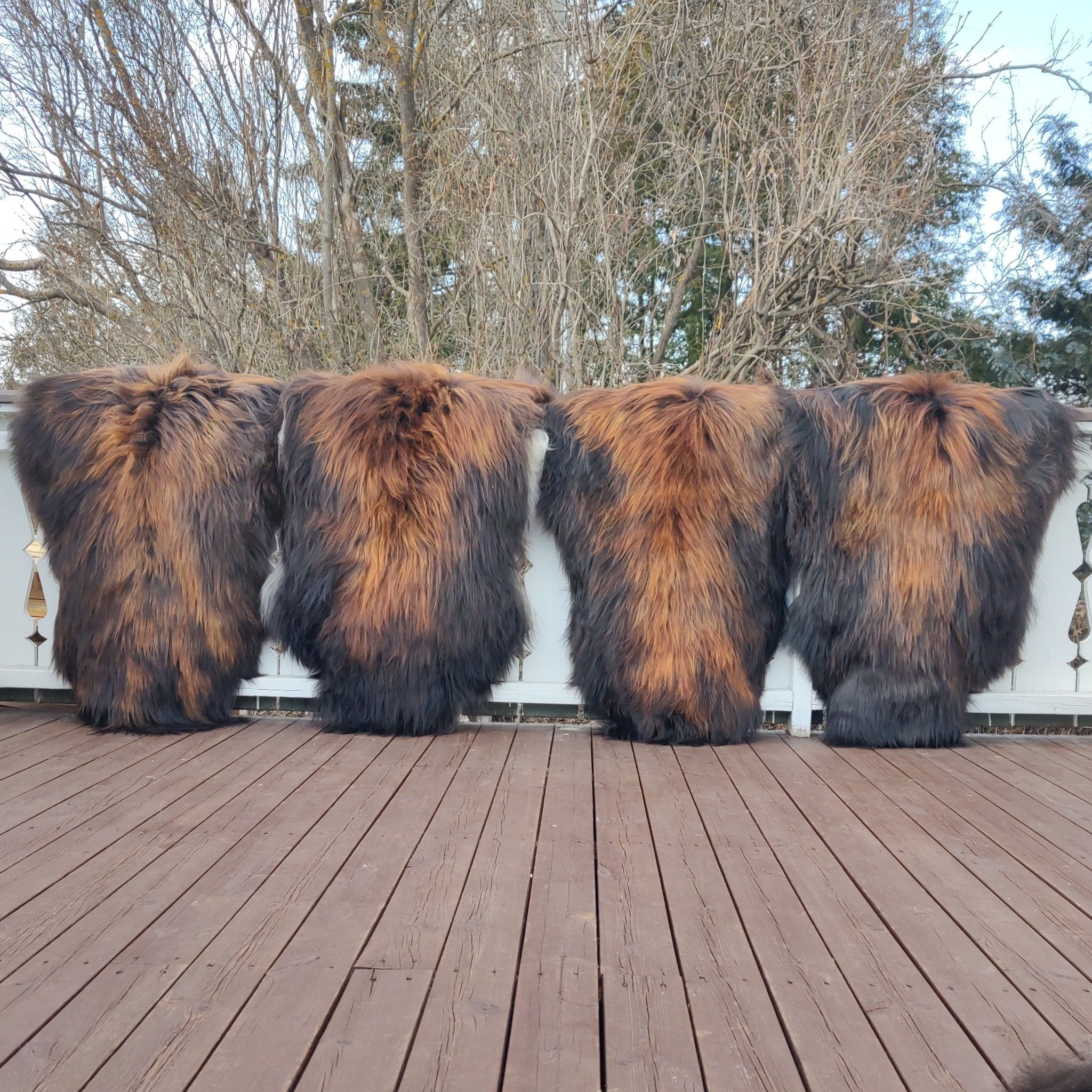6 stk. Islandsk Flamme Saueskinn 125/130 cm - Gratis Frakt - ULLNorge